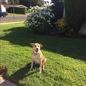 Meet your Posher, Natalie